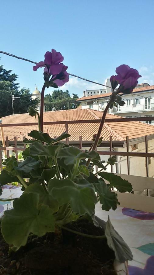 Casa Vacanza Xenia Agerola Kültér fotó